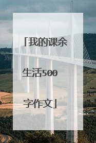 我的课余生活500字作文