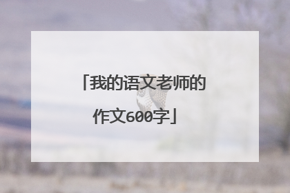 我的语文老师的作文600字