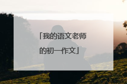 我的语文老师的初一作文