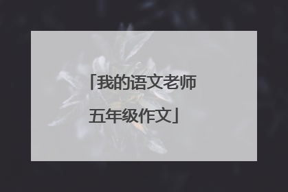 我的语文老师五年级作文