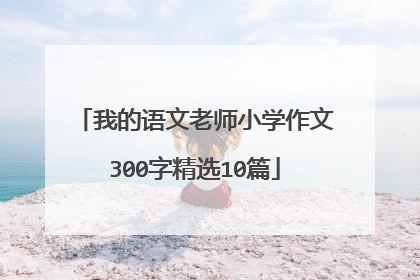 我的语文老师小学作文300字精选10篇