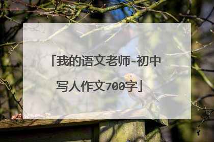 我的语文老师-初中写人作文700字