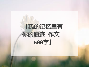 我的记忆里有你的痕迹 作文 600字