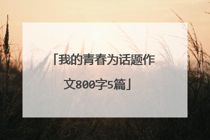 我的青春为话题作文800字5篇