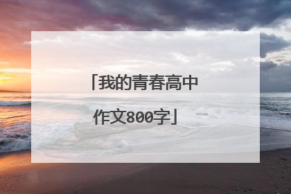 我的青春高中作文800字