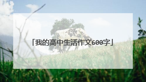 我的高中生活作文600字