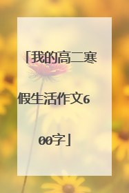 我的高二寒假生活作文600字