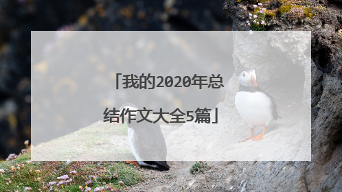 我的2020年总结作文大全5篇