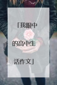 我眼中的高中生活作文