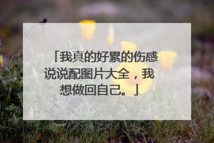 我真的好累的伤感说说配图片大全,我想做回自己。