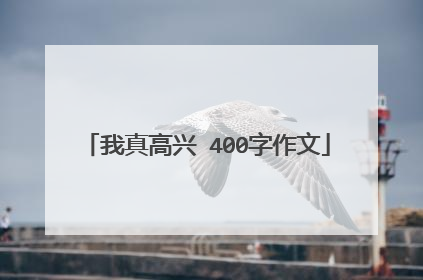 我真高兴 400字作文