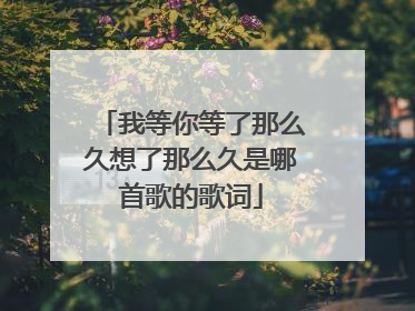我等你等了那么久想了那么久是哪首歌的歌词