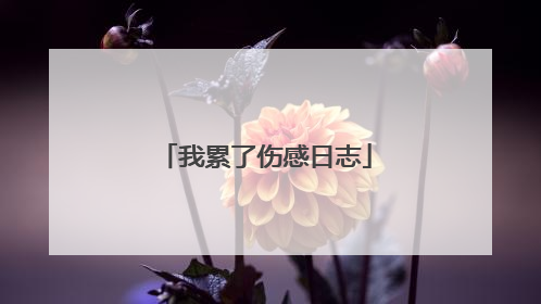 我累了伤感日志