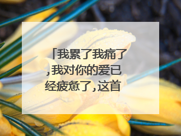 我累了我痛了,我对你的爱已经疲惫了,这首歌名叫什么？