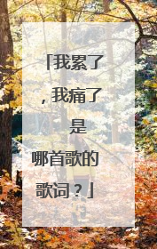 我累了，我痛了   是哪首歌的歌词？