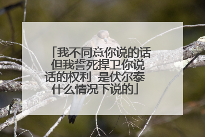 我不同意你说的话 但我誓死捍卫你说话的权利 是伏尔泰什么情况下说的