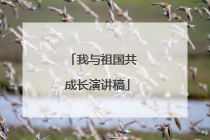 我与祖国共成长演讲稿