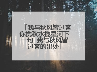我与秋风皆过客你携秋水揽星河下一句 我与秋风皆过客的出处