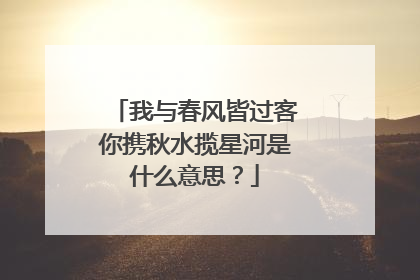 我与春风皆过客你携秋水揽星河是什么意思?