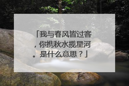 我与春风皆过客，你携秋水揽星河。是什么意思？