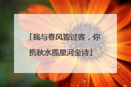 我与春风皆过客,你携秋水揽星河全诗
