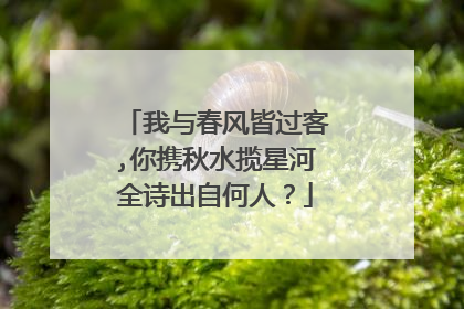 我与春风皆过客,你携秋水揽星河全诗出自何人?