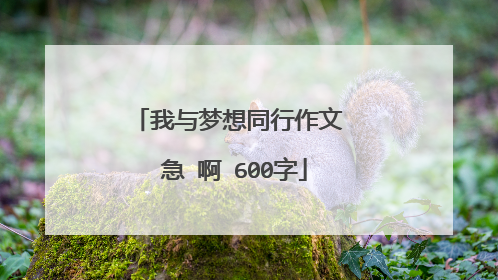 我与梦想同行作文 急 啊 600字