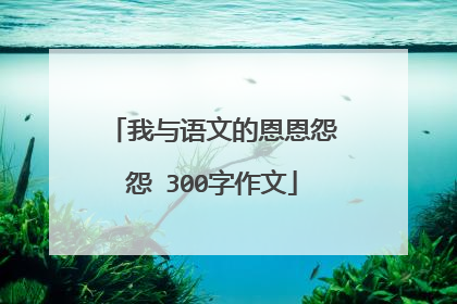 我与语文的恩恩怨怨 300字作文