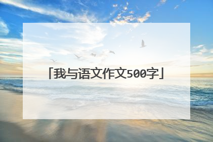 我与语文作文500字