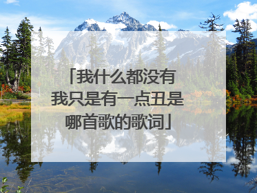 我什么都没有 我只是有一点丑是哪首歌的歌词