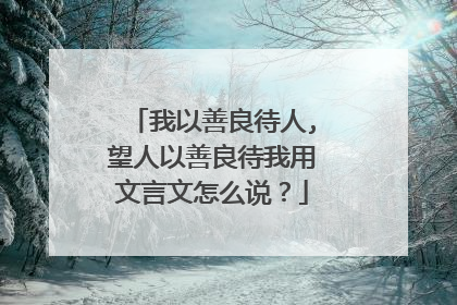 我以善良待人,望人以善良待我用文言文怎么说?
