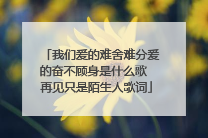 我们爱的难舍难分爱的奋不顾身是什么歌 再见只是陌生人歌词