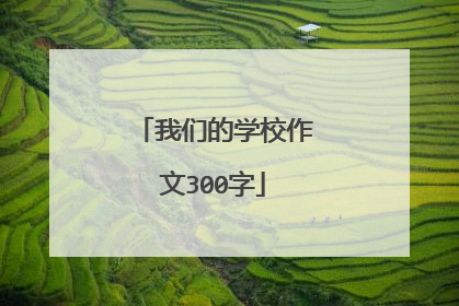 我们的学校作文300字