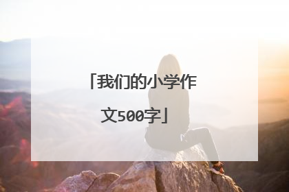 我们的小学作文500字