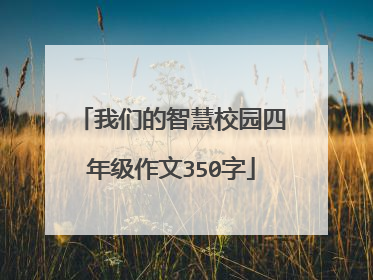 我们的智慧校园四年级作文350字