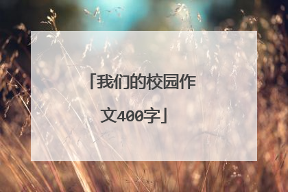 我们的校园作文400字