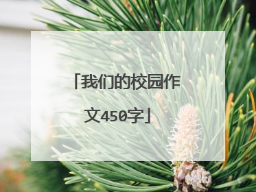 我们的校园作文450字