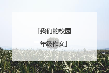 我们的校园二年级作文