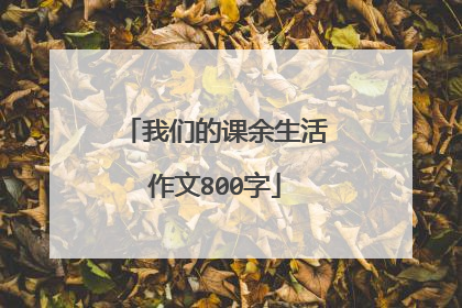 我们的课余生活作文800字