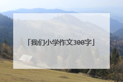 我们小学作文300字