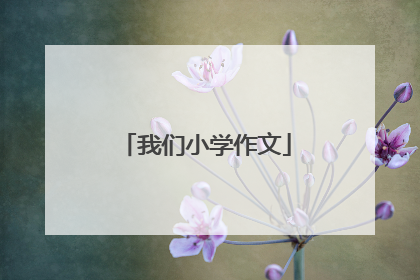 我们小学作文