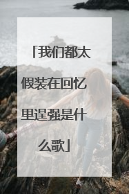 我们都太假装在回忆里逞强是什么歌