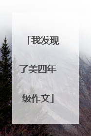 我发现了美四年级作文