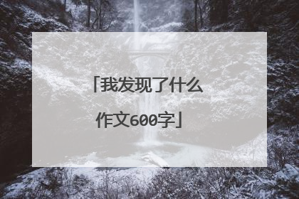 我发现了什么作文600字