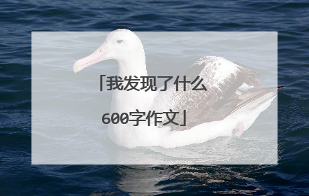 我发现了什么600字作文