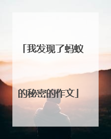 我发现了蚂蚁的秘密的作文