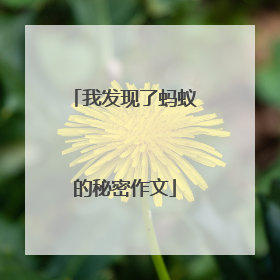 我发现了蚂蚁的秘密作文