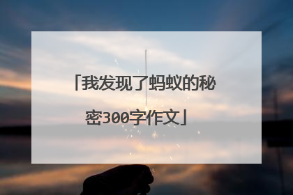 我发现了蚂蚁的秘密300字作文