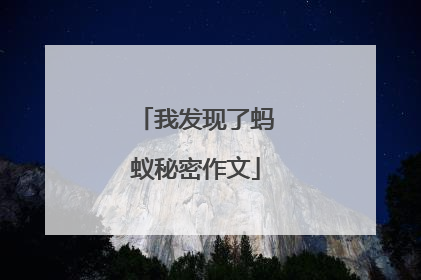 我发现了蚂蚁秘密作文