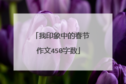我印象中的春节作文450字数